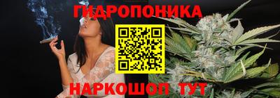 spice Гусиноозёрск
